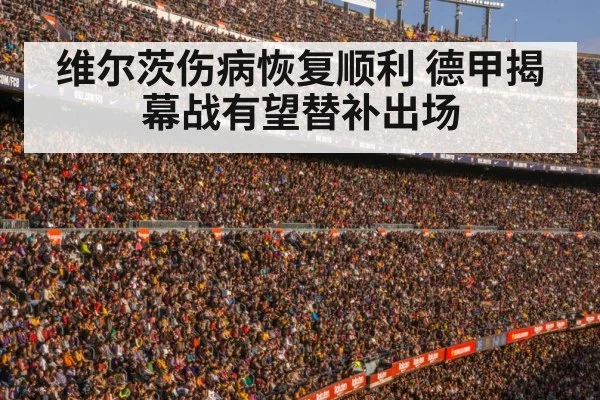 维尔茨伤病恢复顺利 德甲揭幕战有望替补出场